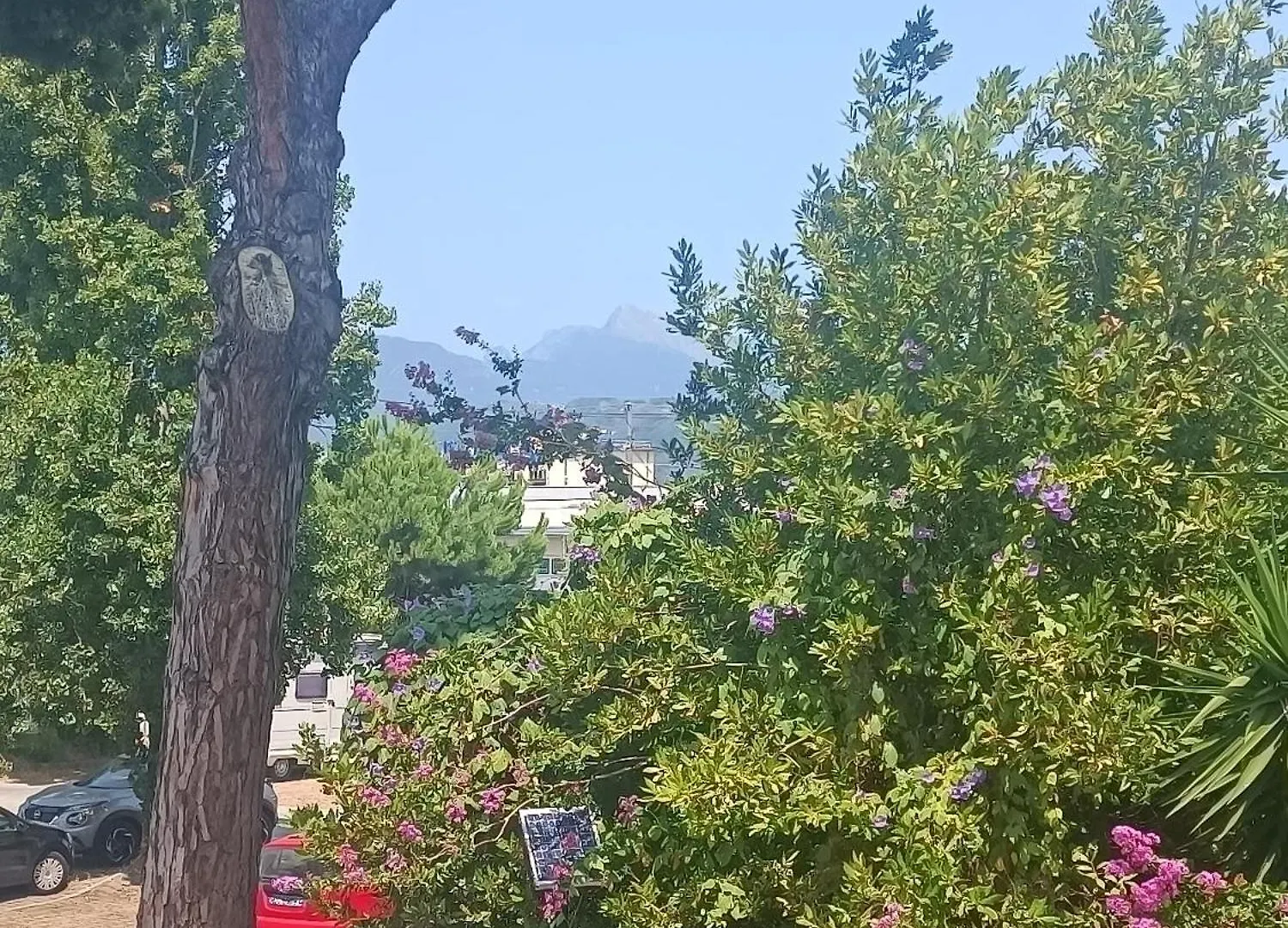Appartamento Vale Viareggio